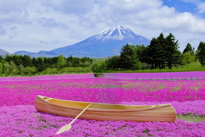 Private Day Tour in Mount Fuji From Tokyo - Pickup Information