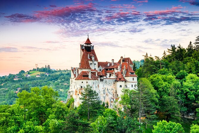 Private Day Tour in Transylvania, Peles and Bran Castles From Brasov - Tour Itinerary