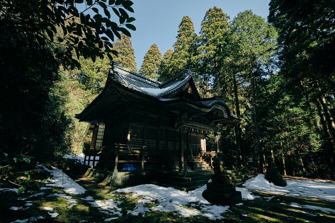 Private Echizen Lacquer Painting Experience and Cycling Tour - What to Expect