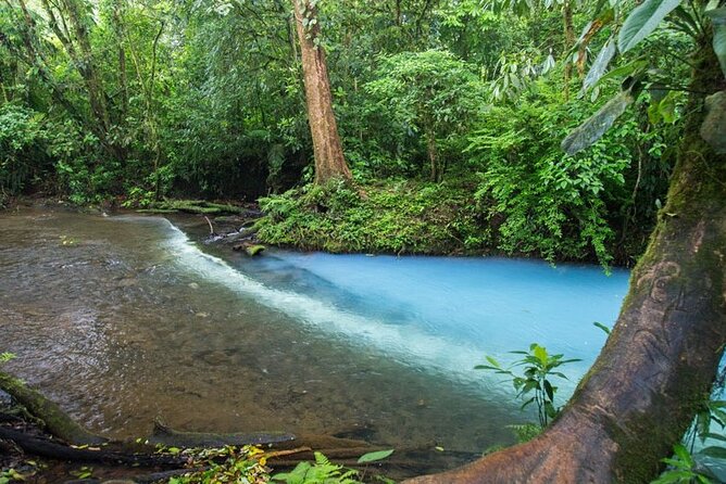 Private Full Day Celeste River Hiking Experience With Lunch - Meeting and Pickup Details