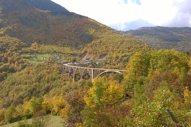 Private Full-Day Tour in Moraca and Tara Canyons, Durmitor & Biogradska Gora NP - Tour Highlights