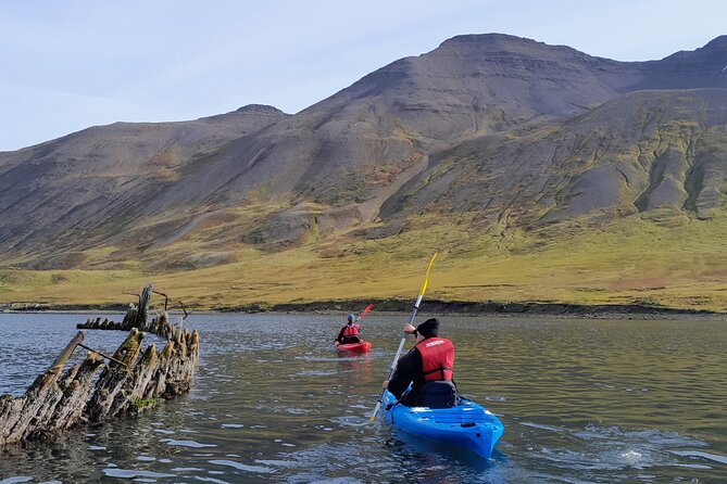 Private: Guided Kayak Tour in Siglufjörður / Siglufjordur. - Tour Details