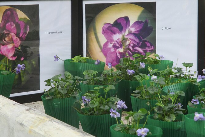 Private Half Day Tour to Parma the City of Perfume - Tour Inclusions