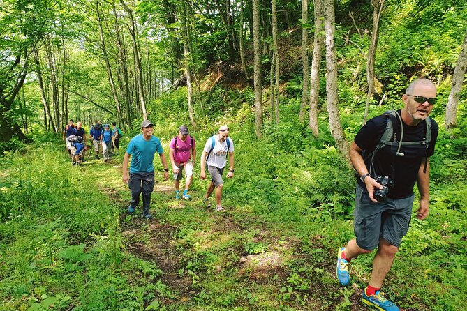 Private Hiking Tour to Machakhela National Park From Batumi - Tour Details