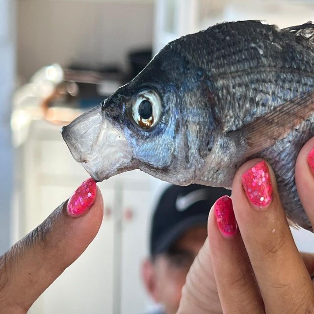 Private Morning Fishing Tour W/ Lunch and Drinks