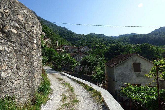 Private Skadar Lake Cruise and Tasting Tour - Tour Highlights