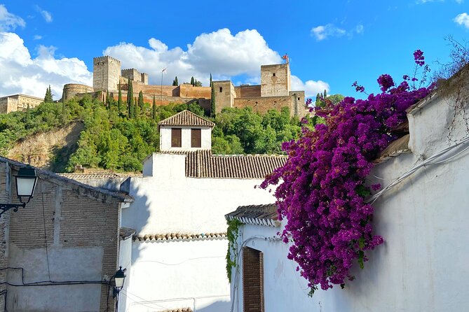 Private Tour Albayzin and City Center (Entrance Fees Included) - Tour Highlights