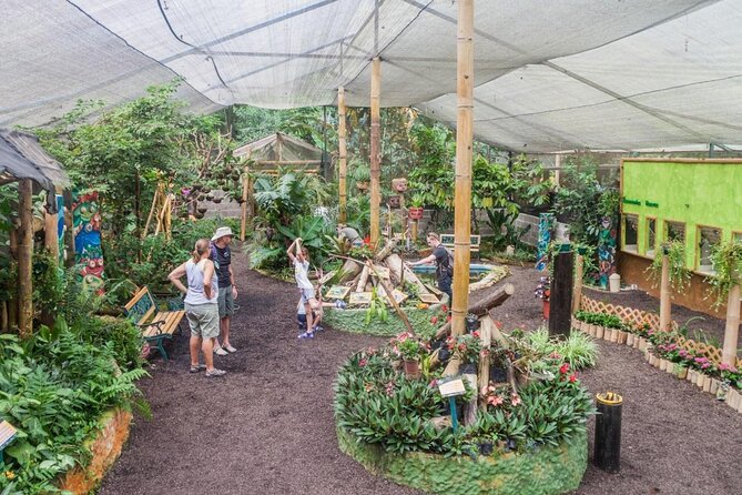 Private Tour to Mindo With Hummingbird Reserve, Tarabita and Butterfly Farm - Tour Highlights