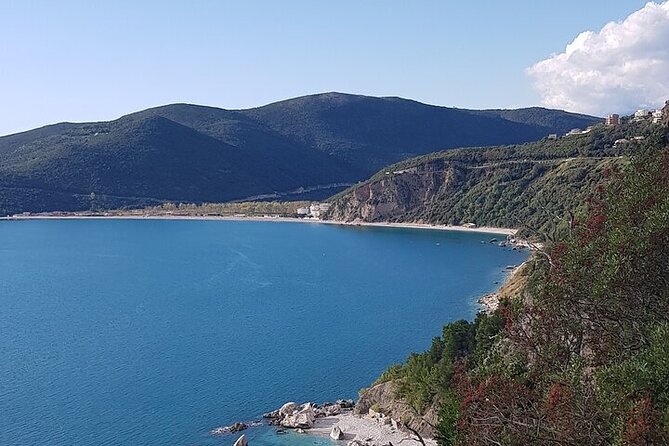 Private Transfer From Budva to Podgorica Airport and City - Service Details
