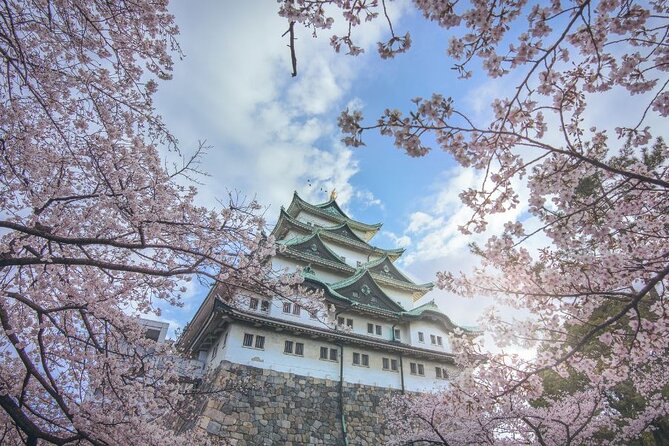 Private & Unique Nagoya Cherry Blossom Sakura Experience - Additional Information