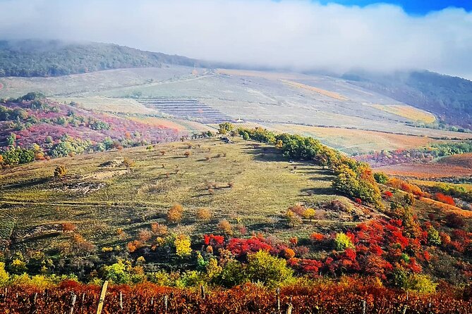 Private Winetasting and Sightseeing Tour to Eger, Home to Bulls Blood Wine! - Tour Highlights