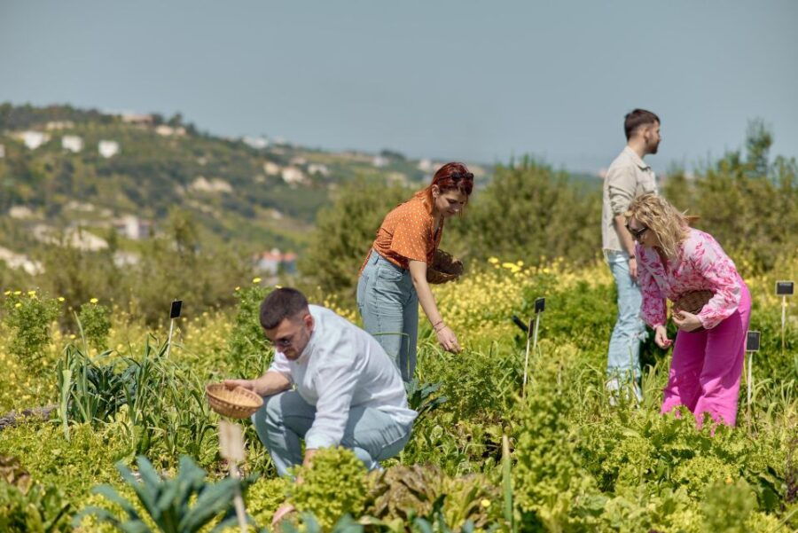 Regenerative Farming Veggies Tour & Salad Making Experience - Good To Know