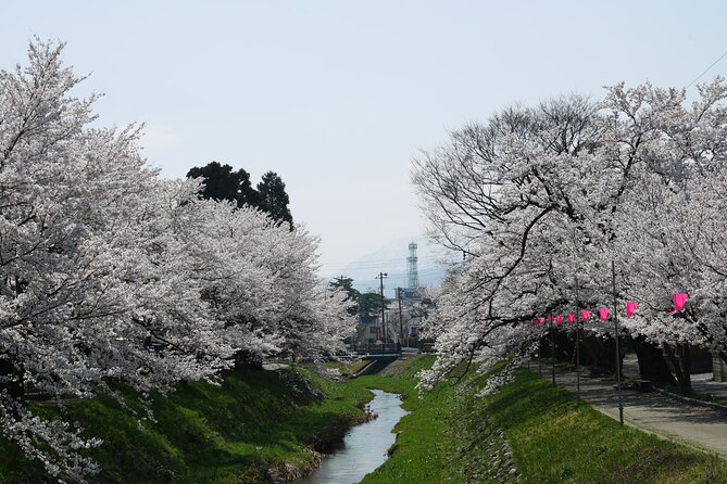 Sakura Park and Old Town Private Tour - Tour Details