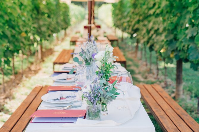 San Gimignano Dinner in the Vine Rows and Wine Tasting - Experience Details