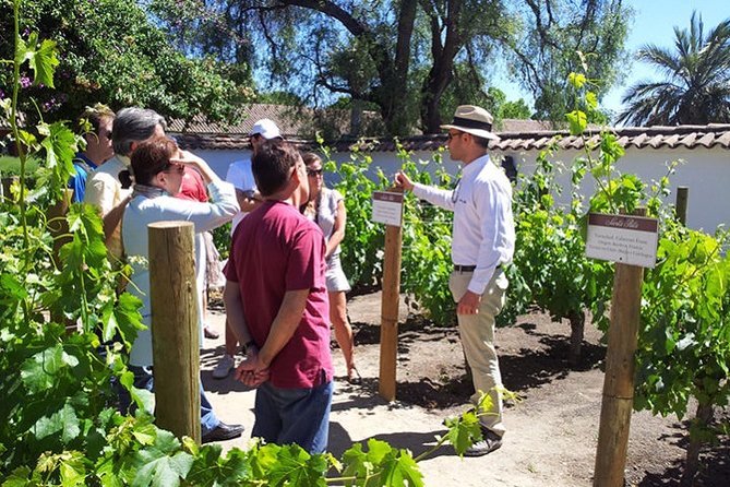 Santa Rita Winery – Tour With Tasting