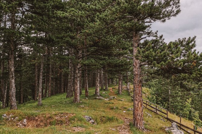Sarajevo City Tour: Urban Hike off the Beaten Path - Tour Details