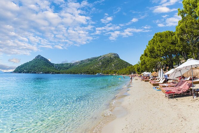 Scenic Guided Tour to Formentor and Alcúdia Local Market - Itinerary Highlights