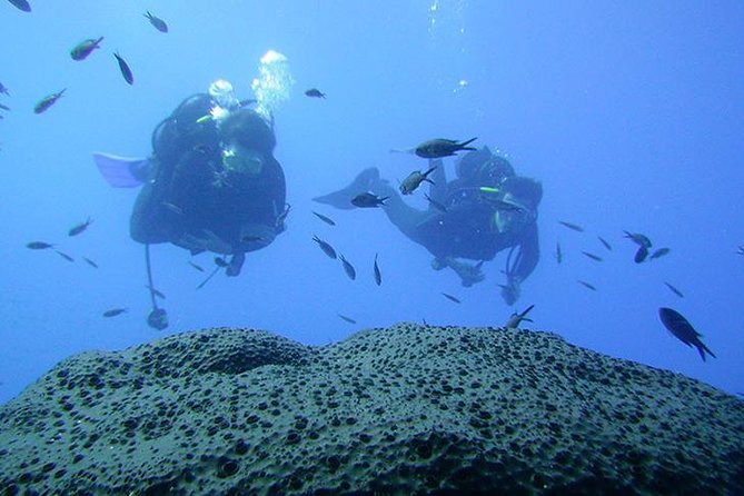 Scuba Diver Course - Additional Information and Accessibility