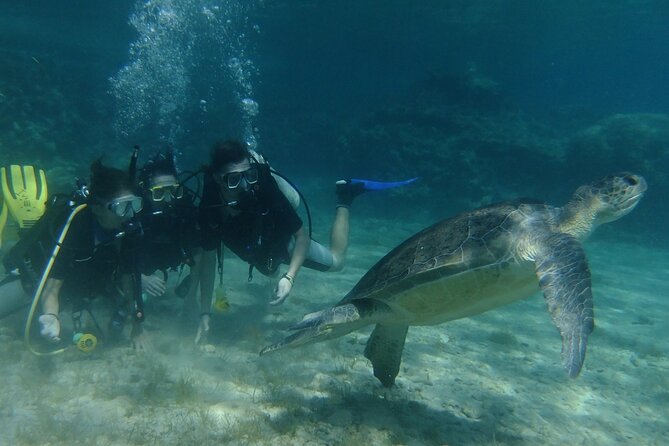SCUBA DIVING First Time Experience - Activity Overview