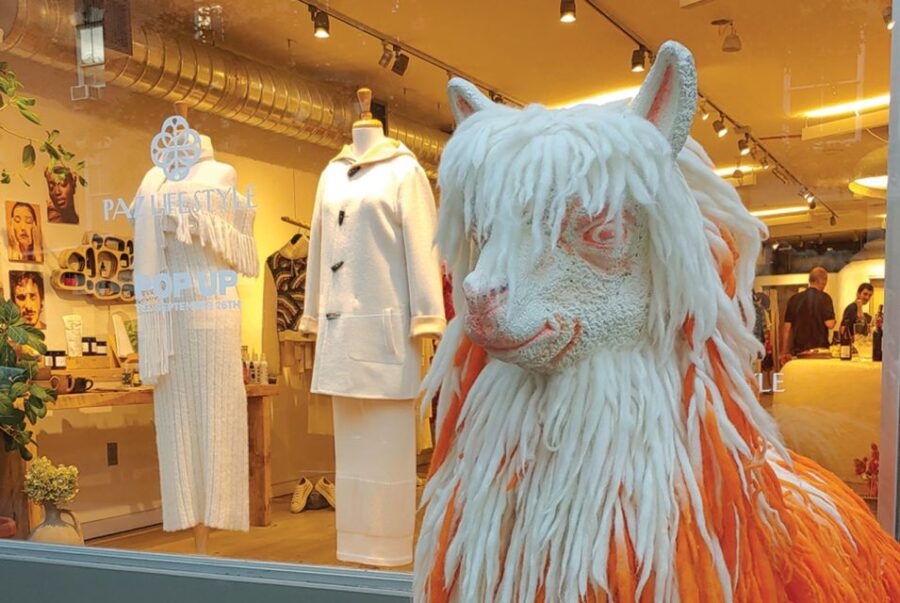 Semi-Private Soho Boutique Shopping Tour | 3-3.5 Hrs - Good To Know