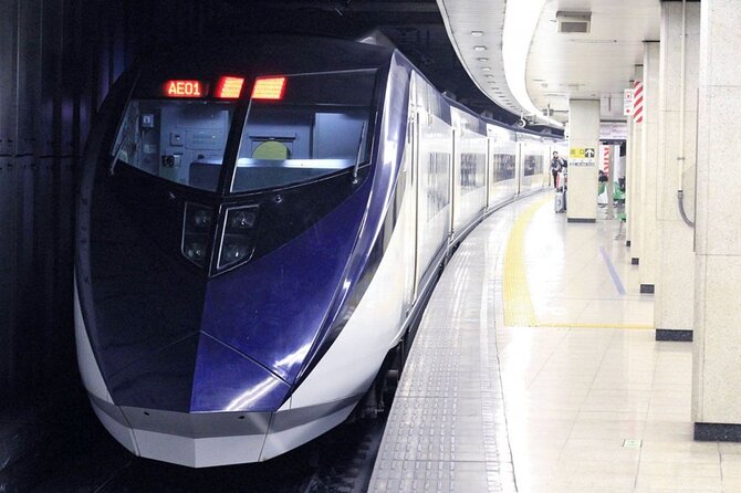 Skyliner Discount Ticket Narita Airport to Tokyo Downtown - Ticket Details