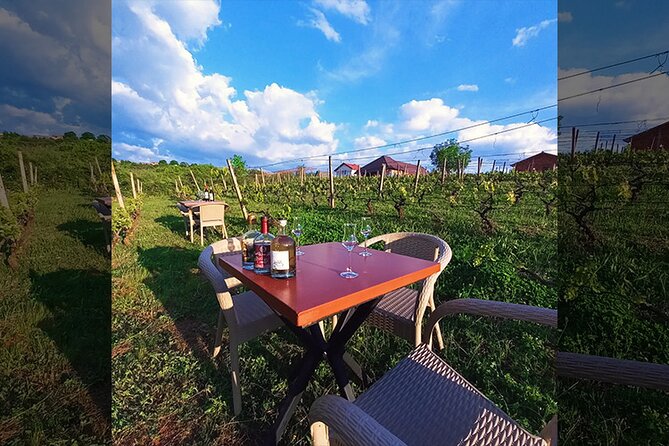 S&S Winery - Wine Tasting Experience in Ohrid - Food Pairing and Tasting Options
