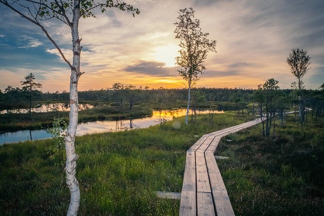 Sunrise Tour To Great Kemeri Bog - Tour Highlights
