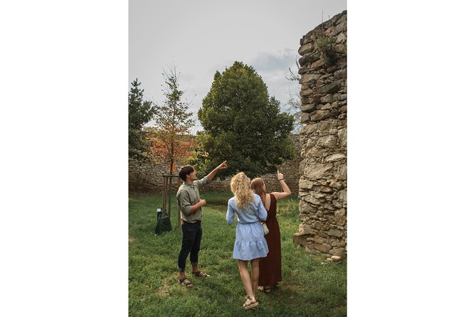 Taste Local Wines and Discover Pezinok - Pezinok: A Hidden Gem for Wine Enthusiasts
