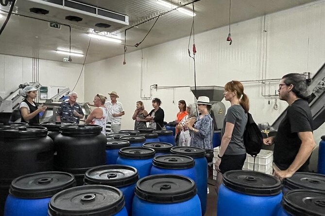 Tavira Olive Experience Factory Tour and Tasting - Tour Highlights