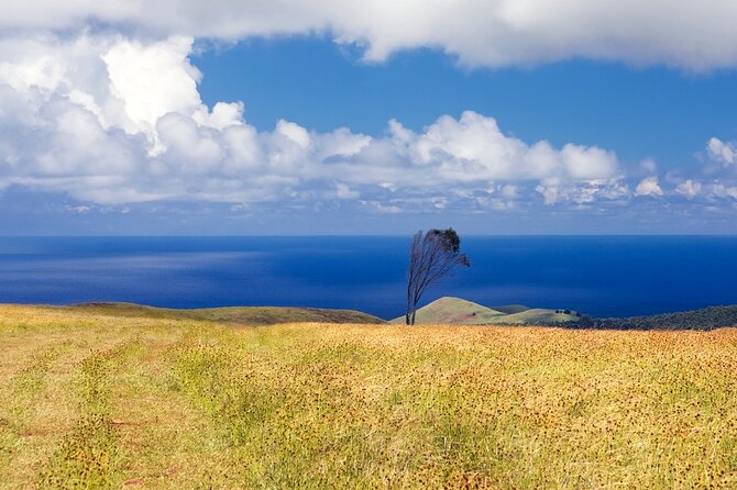 Terevaka Private Tour to the Highest Point of Rapa Nui - Overview of Terevaka Private Tour