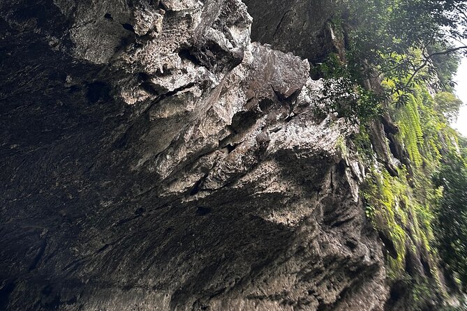 The Best Private Jungle Tour+Rafting+Canopy+Trek - Pickup Information