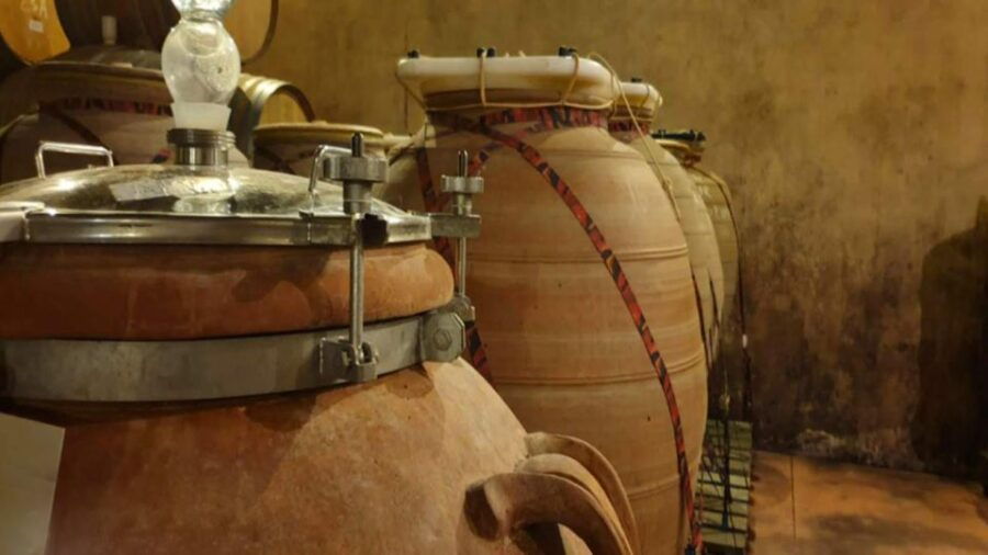 Three Wine Districts. Private Tour With Winemaker.