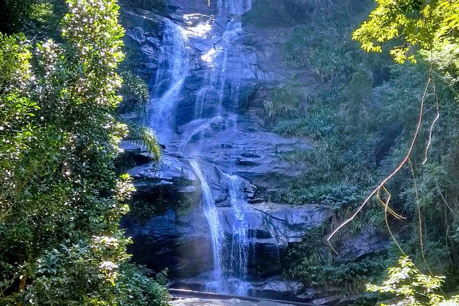 Tijuca Forest National Park - Start Time and End Point