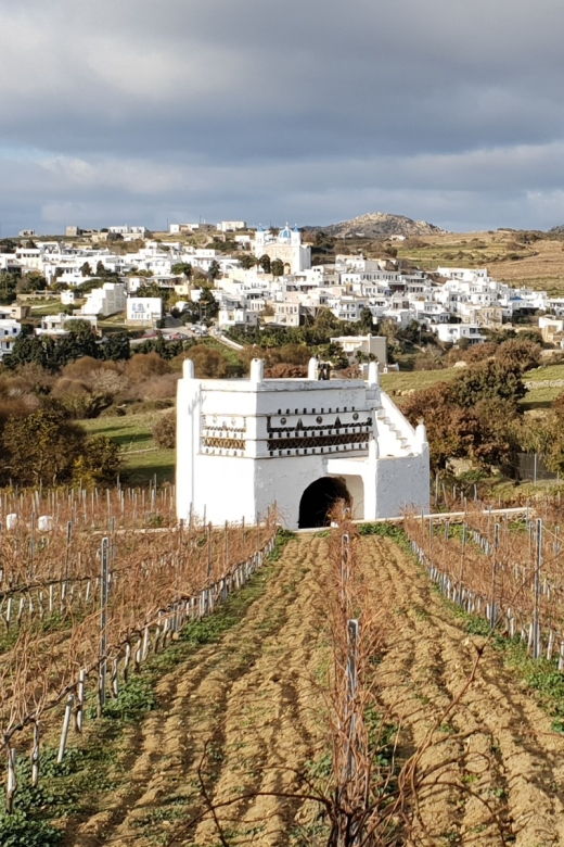 Tinos: Winery Tour and Wine Tasting Paired With Snacks
