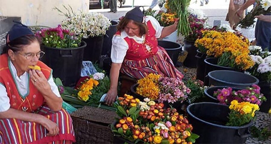 Toboggan Ride & Madeira Wine Tasting Tour