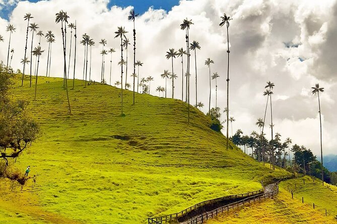 Top of the Condor Tour Cocora Valley - Tour Overview