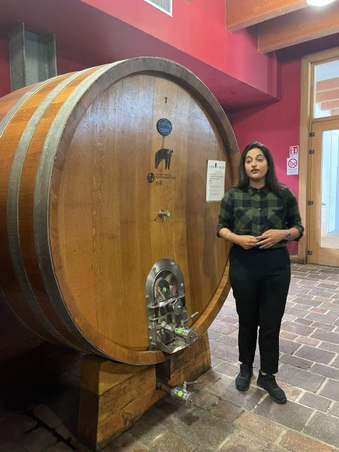 Tour of Cilento: a Journey Through History and Archaeology