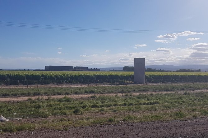 Transfer From Santiago, Chile to Mendoza, Argentina