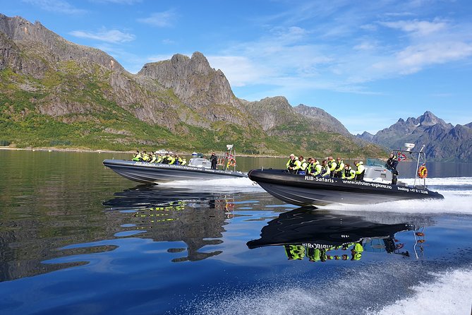 Trollfjord and Sea Eagle Safari Tour From Svolaer - Meeting Point Information