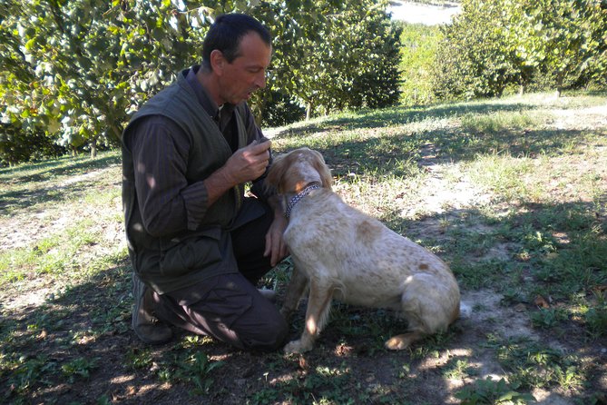 Truffle Hunt & Barolo Wine Tasting