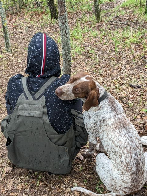 Truffle Hunting Experience With a Guide - Good To Know