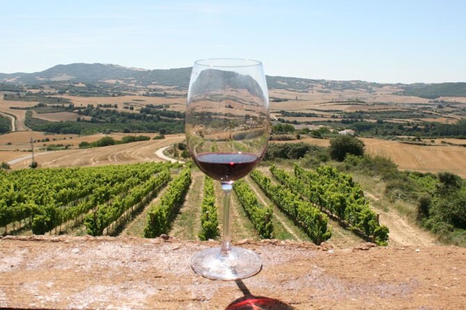 Two Winery Visits With Tastings and a Walking Tour of La Guardia - Itinerary Highlights