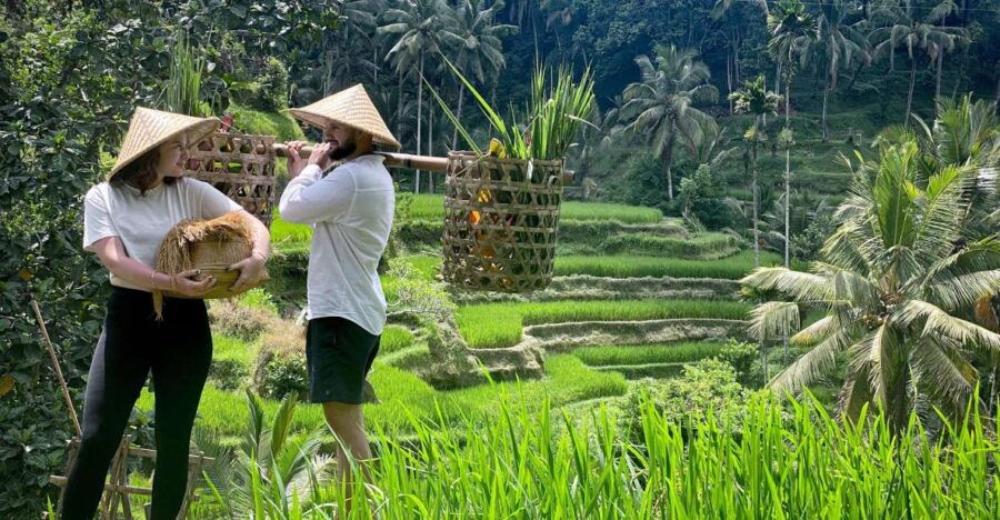 Ubud Funtastic Tour With Local Guide - Booking Details for the Tour
