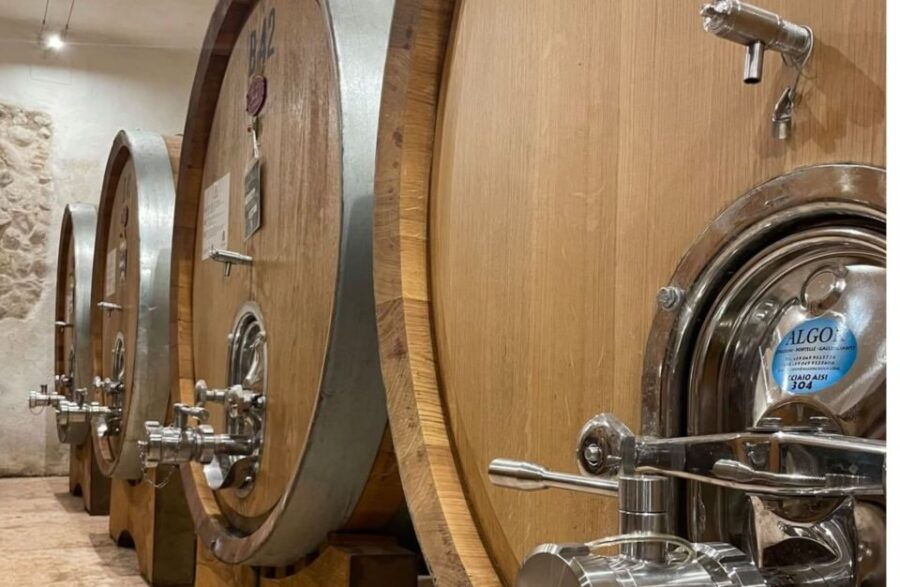 Valpolicella: Boutique Winery Tour and Tasting
