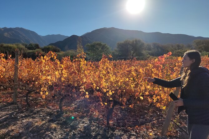 Velazco Mountains Trekking - Transportation Options for Trekking