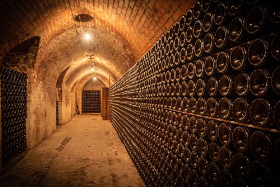 Veuve Clicquot Tasting and Fun Private Tour in Champagne - Full Description