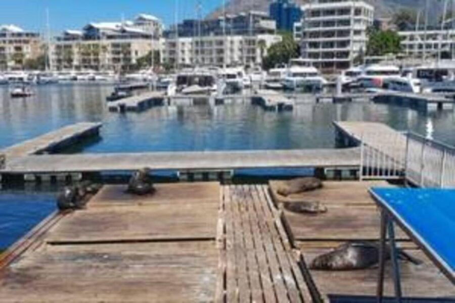 Victoria and Alfred Waterfront Walking Tour
