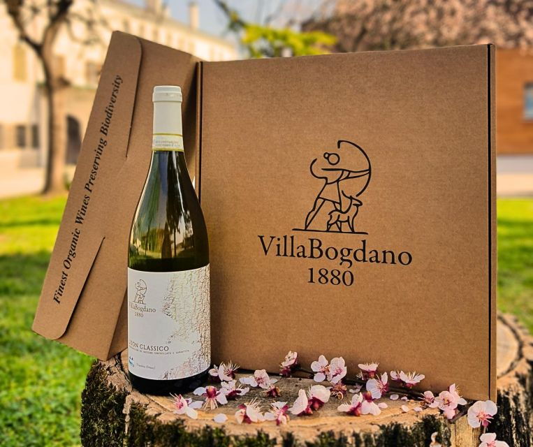 2 Best Wine Tours In Portogruaro