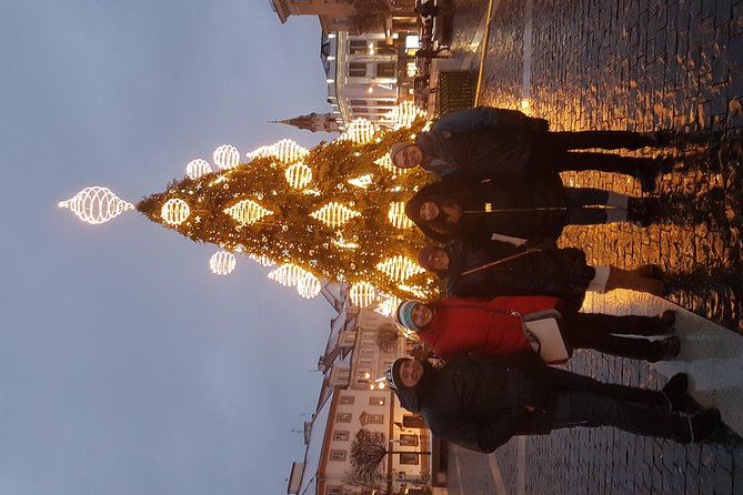 Vilnius City Tour- Walking& Driving - Meeting and Pickup