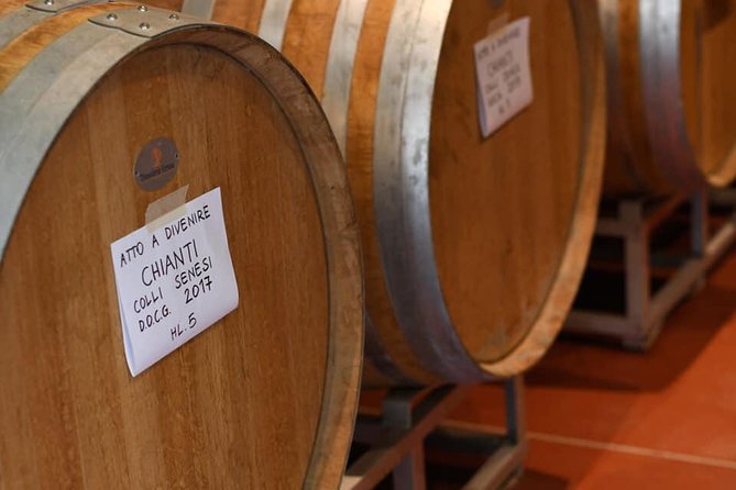 Vineyard Visit With Local Appetisers and Wine Tasting - Meeting Point and Schedule